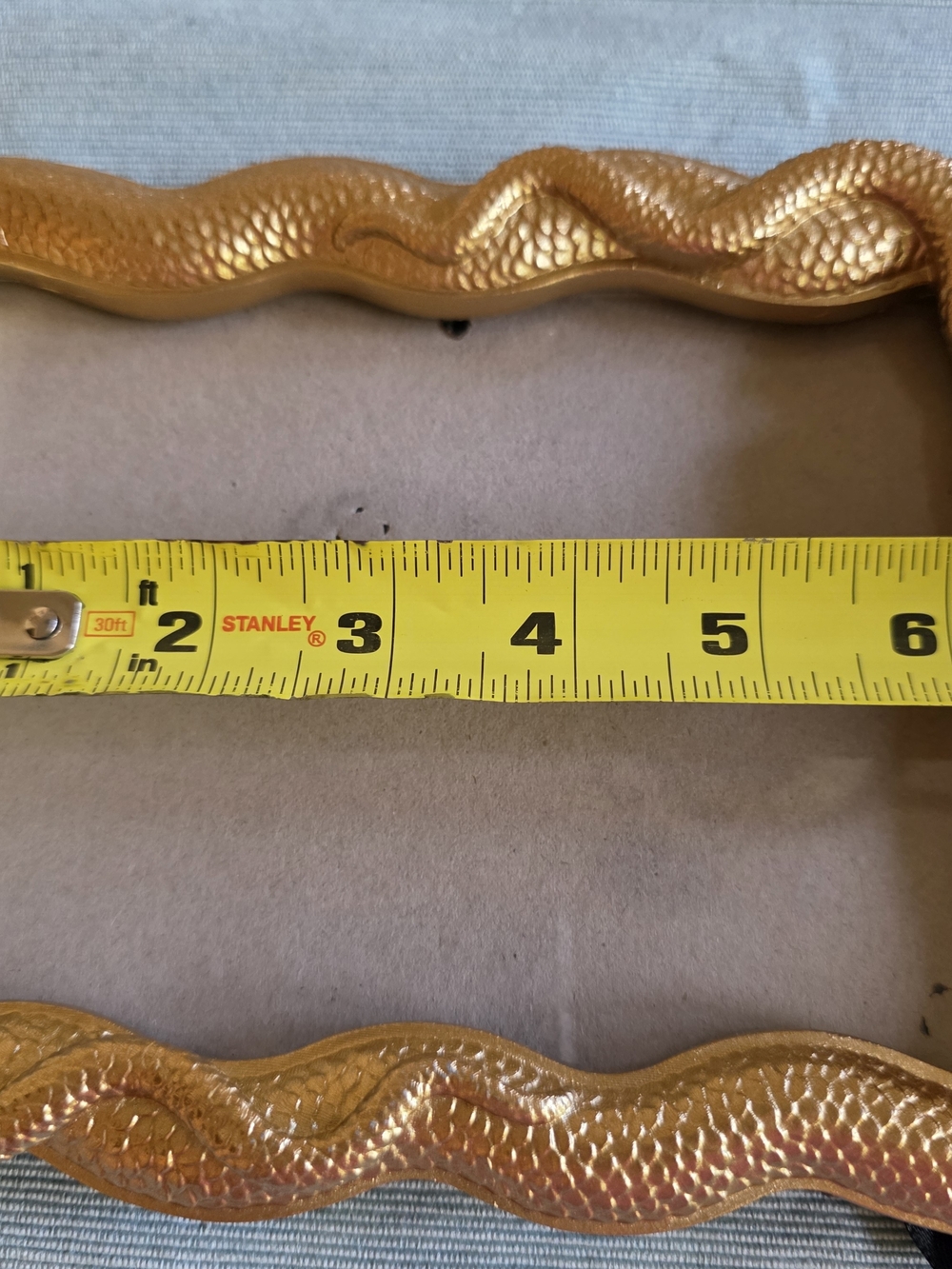 GOLD SNAKE Frame 5x7 Photo - Picture 15 of 16